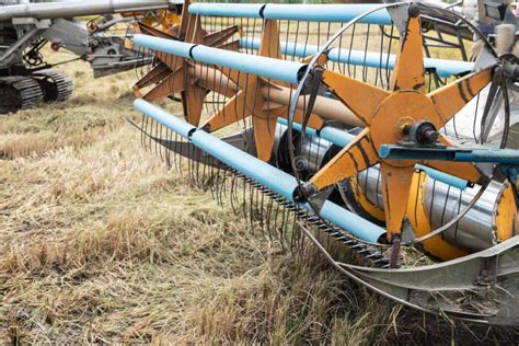 Paddy Harvesters on Paddy Field Stock Image - Image of rice ...