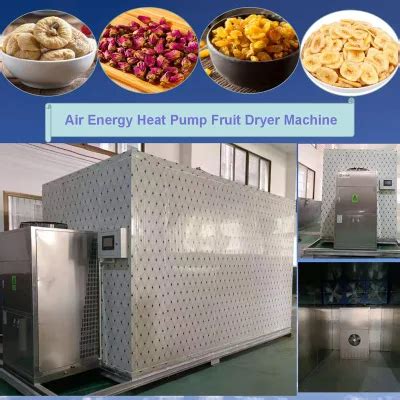 Hot Air Dryers Seafood Fish Drying Chamber Vegetable Dehydrator Industrial Fruit Dryer China