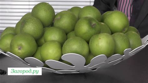 Интервью с генеральным директором УК «Гринлайн» Егором Быковым - YouTube