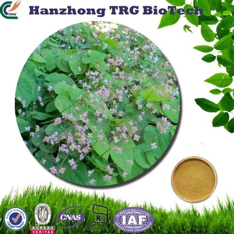 Horny Goat Weed Epimedium Extract Icariin By Hplc Horny Goat Seed Icarin Buy Horny