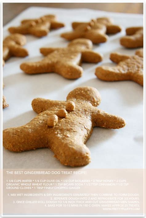 Diy Gingerbread Dog Treats Pretty Fluffy Pet Treats Recipes Diy Dog