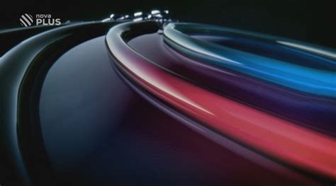 Sex na veřejnosti Muž souložil s kolem pátrá po něm policie VIDEO TN cz