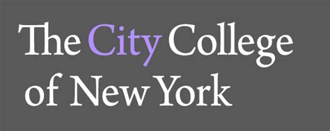 Schoolcity College Of New York University Innovation Fellows