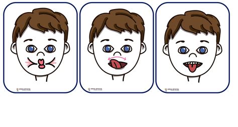 Бесплатные материалы от Мастерская лого