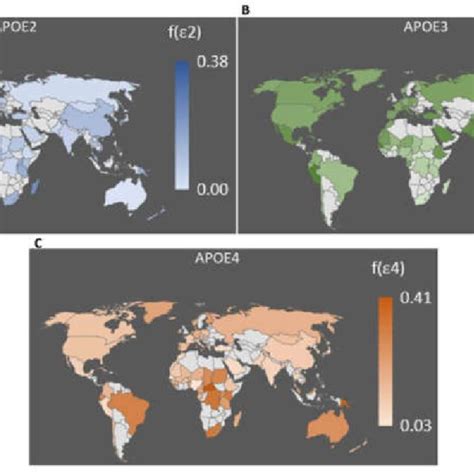 Polymorphisms Underlying The Three Main Apoe Variants In Humans A