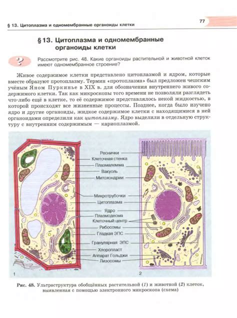 Биология. Биологические системы и процессы. 10 класс (профильный ...