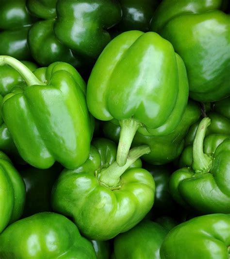 Green Capsicum Citygreen