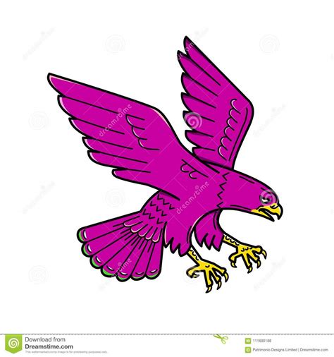 Peregrine Falcon Swoop Mono Line Stock Vector Illustration Of Look