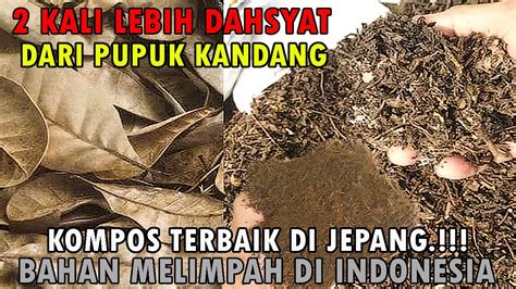 Cara Membuat Kompos Dari Daun Kering How To Make Leaf Compost Youtube