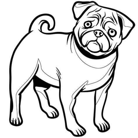 Coloriage Chien Bouledogue Français En Ligne Gratuit à Imprimer