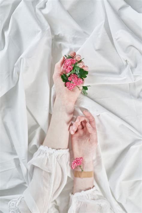 Aesthetic Hands Holding Pink Flowers On White Background Stock Photo