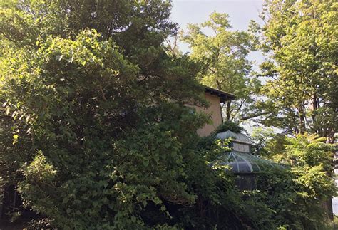 Adult Film Locations Naked Came The Stranger The Rialto Report