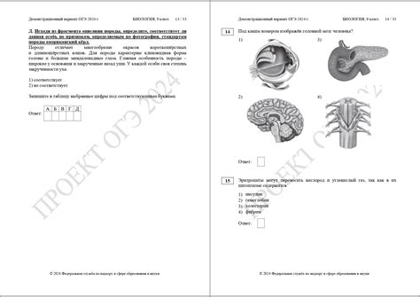 Спецификация огэ биология 2024