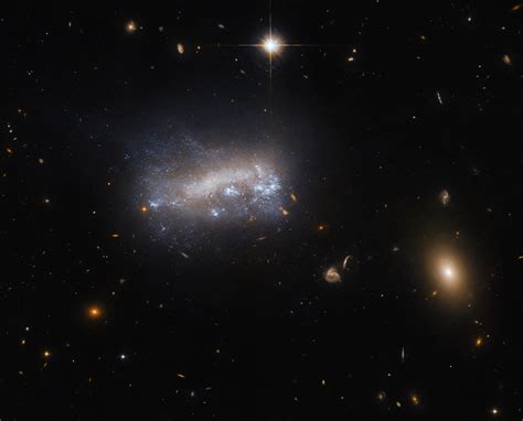 Magellanic Spiral Galaxies Decoded Hubble Captures Leda