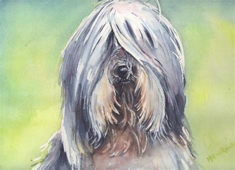 Art Watercolor Painting Bearded Collie Dog By Mariaswatercolor