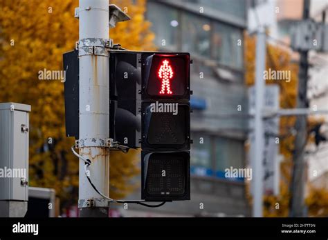A Traffic Light With A Red Pedestrian Traffic Light On South Korea