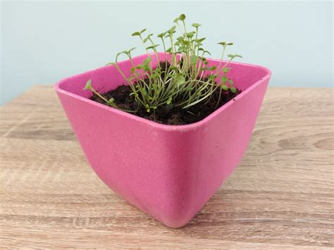 Alcatel 1X Smartphone Review | TechNuovo