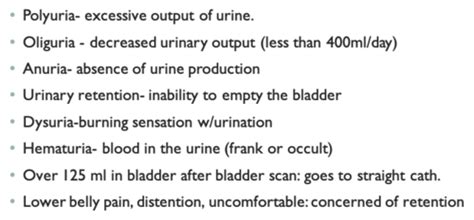 Nur Exam Urine Specimen Collection Flashcards Quizlet