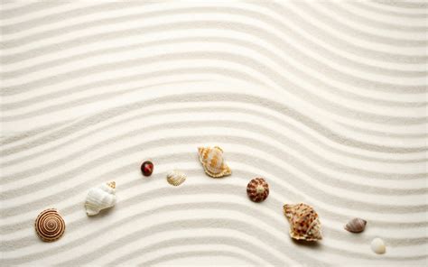 Nature Beach Sand Shells Wallpaper 1920x1200 15498