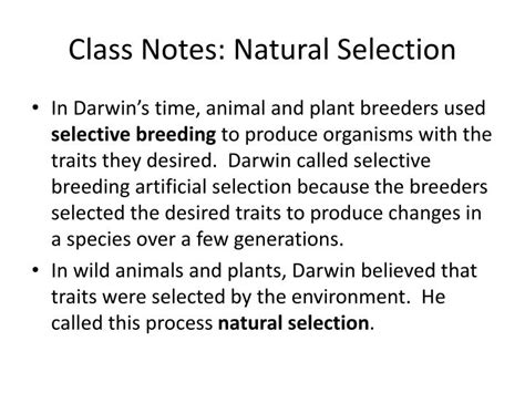 Ppt Class Notes Natural Selection Powerpoint Presentation Free