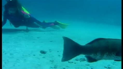 Scuba Model Porn Videos