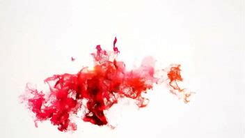 só gostosas Xvideos