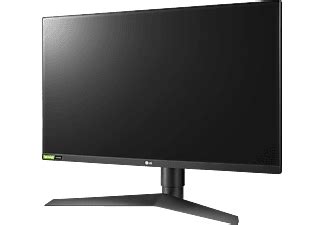 LG 27GL850-B UltraGear 27 Zoll WQHD Gaming Monitor (1 ms Reaktionszeit ...