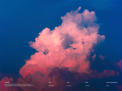 SECOND SON ⓒ :: Behance