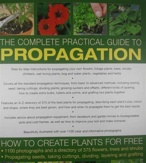 The Complete Practical Guide To Propagation