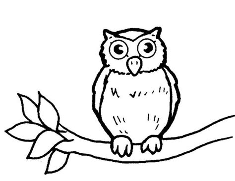 Dessins Gratuits à Colorier Coloriage Hibou à imprimer