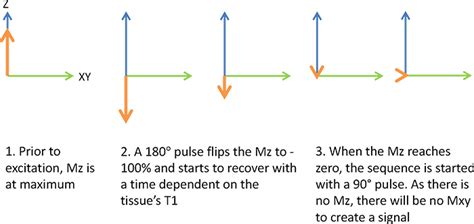 Inversion Recovery Sequences Radiology Cafe