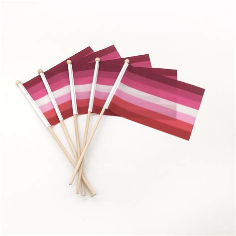 Lesbian Flag Pack Hand Held Pride Flag Lgbtq Flag Eco Etsy