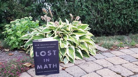 Book Review Of Lost In Math How Beauty Leads Physics Astray