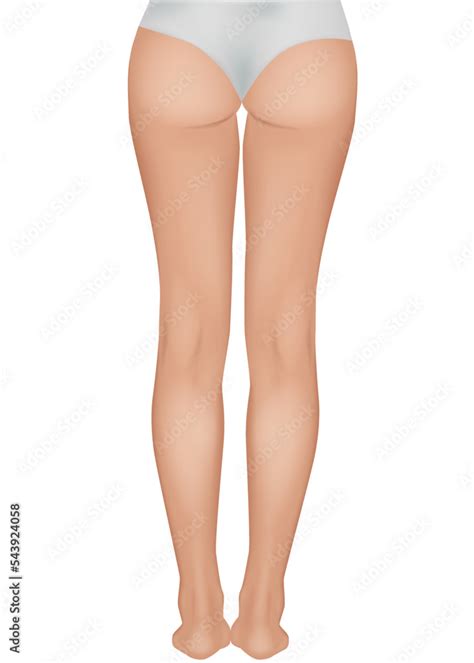 Woman S Legs Isolated On White Background Back View Realistic Vector Illustration Of The Naked