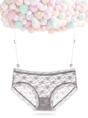 Wealurre Womens Underwear Lace Sexy Panties Bikini Panty For Women Seamless Hipster Pack S B