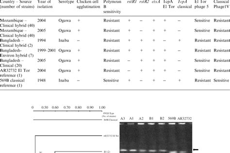 Source Year Of Isolation Genotypic And Phenotypic Traits Of Vibrio