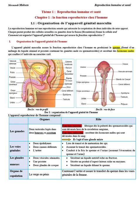 Bac Sc Exp Rimentales Sciences Svt Cours Bac Svt La Fonction