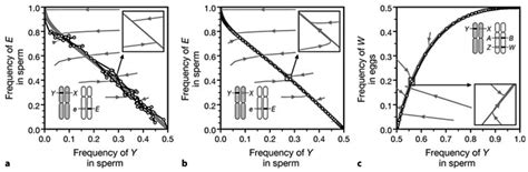 Neutral And Adaptive Models Of Sex Determination Transitions The 3