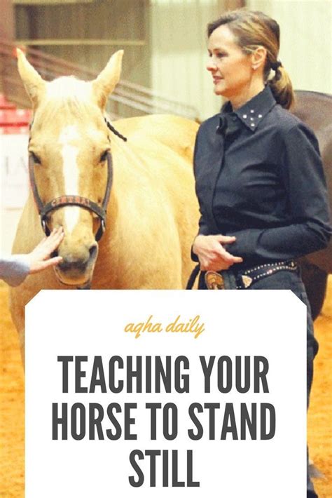 Teaching A Horse To Stand Still Artofit