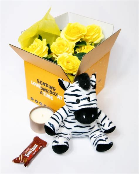 Zeke The Plush Zebra Stuffed Toy Loveinaboxtoyou