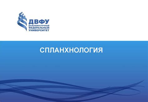 Спланхнология. Классификация органов - презентация онлайн
