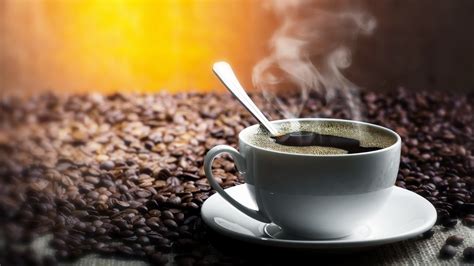 Самое эффективное время дня, чтобы выпить кофе - MUSTEED