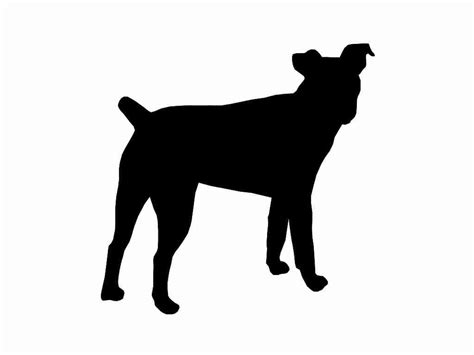 Jack Russell Terrier Silhouette At Getdrawings Free Download