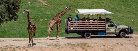 San Diego Zoo And Safari Park Differences Tickets Hours And Directions