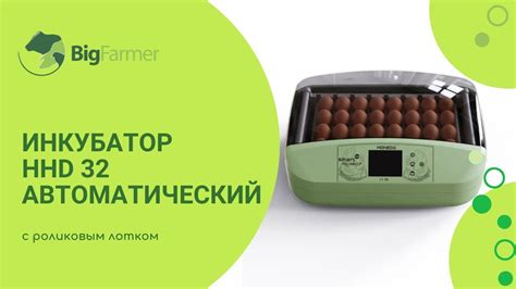 Инкубатор HHD 32 автоматический для яиц с роликовым лотком - YouTube