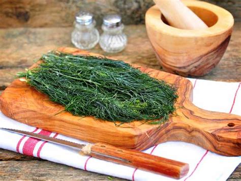 Заморозка для овощного рагу на зиму — рецепт с фото пошагово