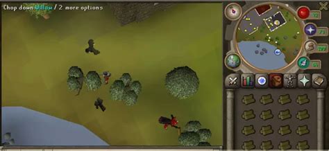 1 99 Woodcutting Guide F2p And P2p Runenation An Osrs Pvm Clan