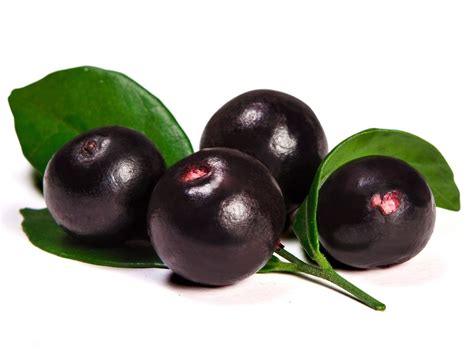 Is Acai Berry The Super Food That Its Been Marketed