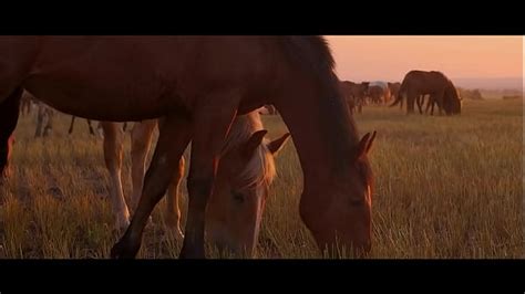 Big Country Tits Videos Xvideos