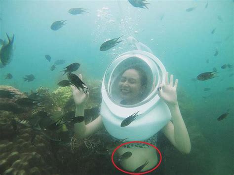 Đăng ảnh bikini Hoàng Thuỳ Linh bị soi tăng cân rõ rệt còn photoshop lộ liễu